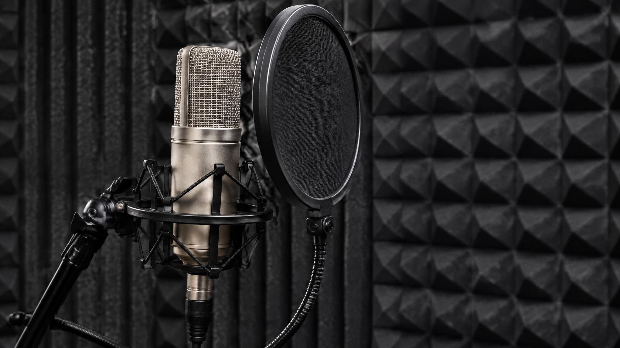 Studio microphone with pop filter